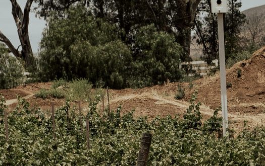 Can-Am Maverick  X rs Turbo RR MY21 dirt road