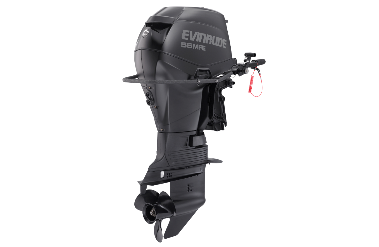 55 Hp Boat Motor by Evinrude