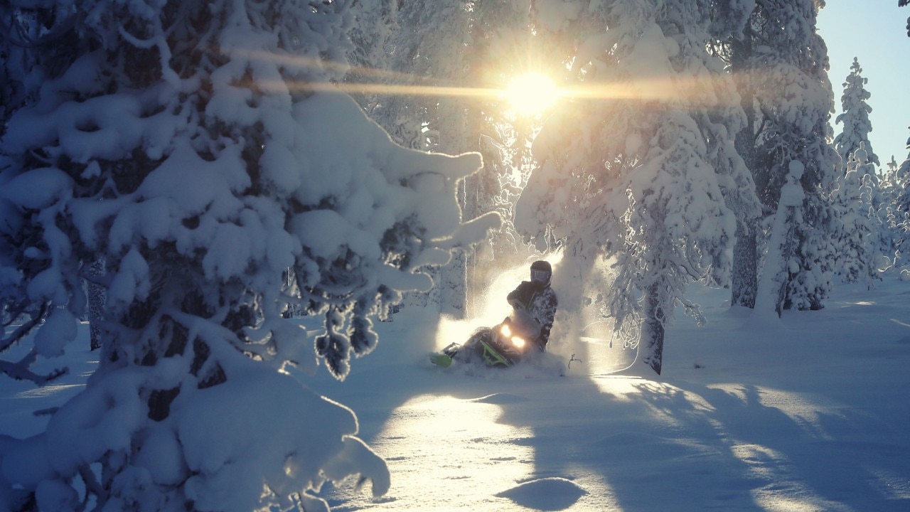 Lynx snowmobile carving between trees