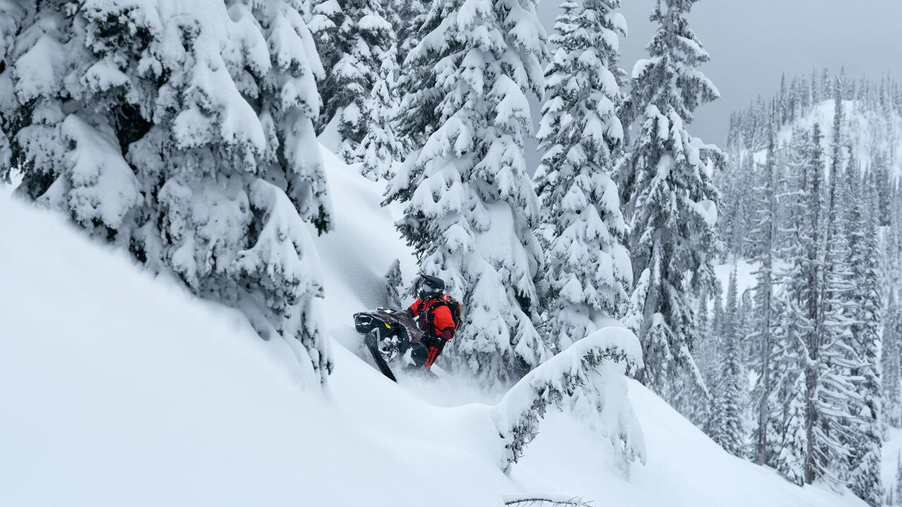 Lynx Shredder DS 2025 snowmobile wheelying in deep snow in forest