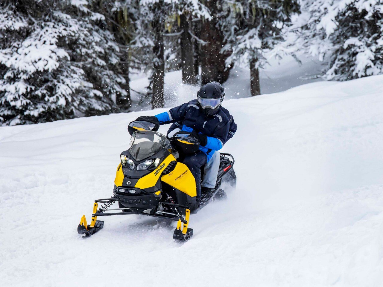 2023 Ski-Doo Renegade for sale - Trail snowmobile & Sleds