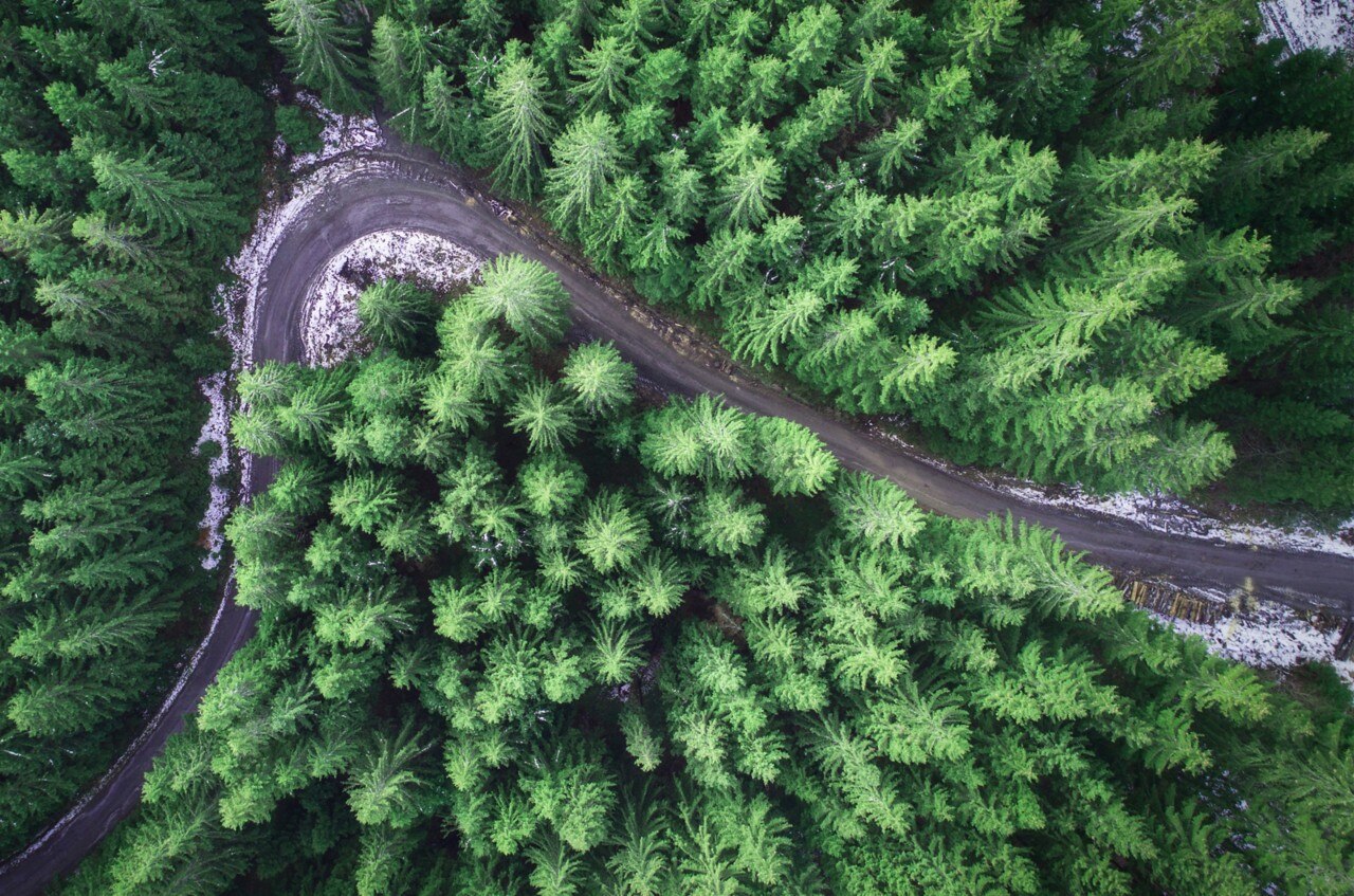 Dirt trail in the middle of a forest; perfect playground for Can-Am ATVs and side-by-side vehicles