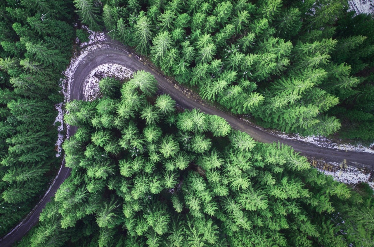 Dirt trail in the middle of a forest; perfect playground for Can-Am ATVs and side-by-side vehicles