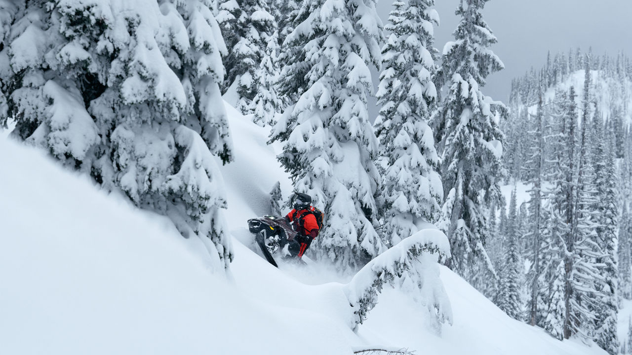 Lynx Shredder DS 2025 snowmobile wheelying in deep snow in forest
