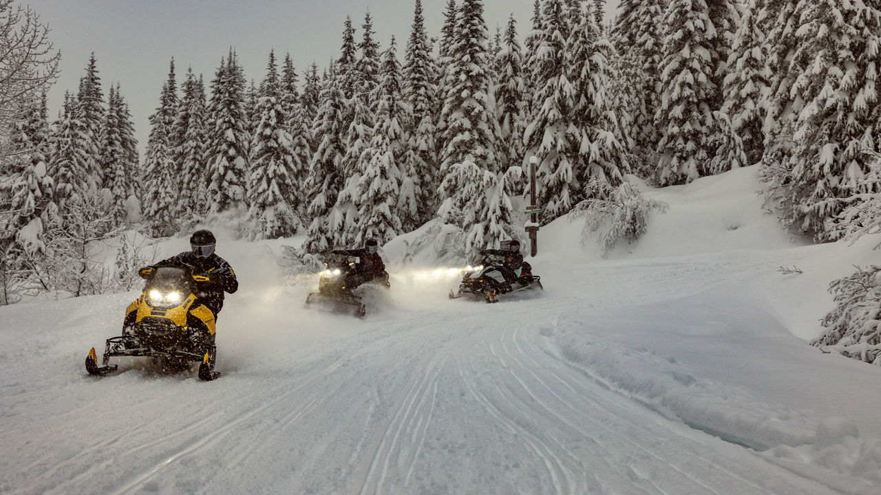 Trīs 2025. gada Ski-Doo trases sniega motocikli uz sniegotas trases