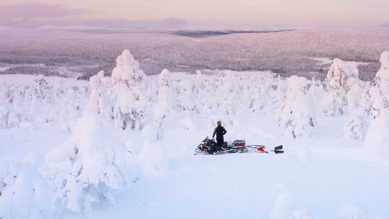 2026 59 Ranger Light Utility Snowmobiles - Lynx