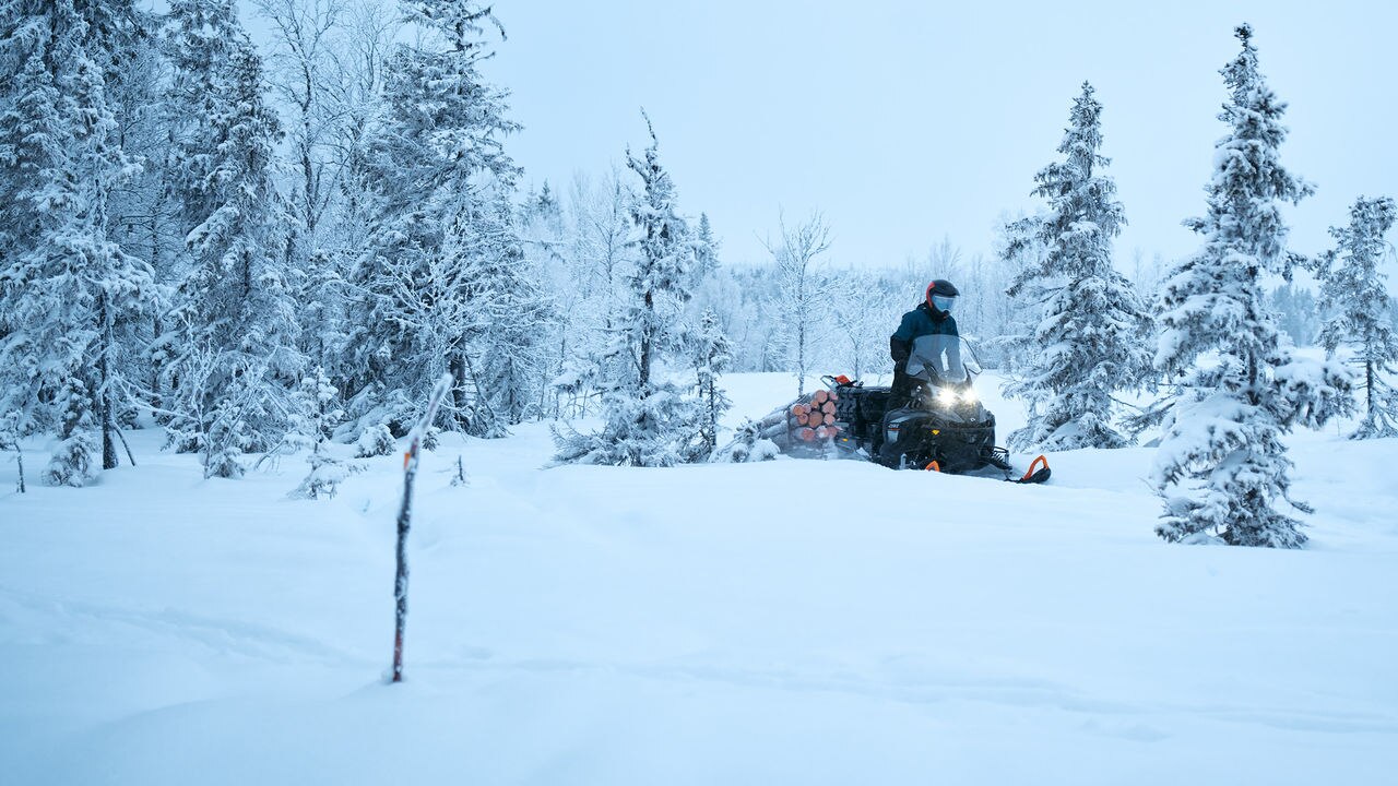 Rider hauling logs with the 2027 Lynx 69 Ranger PRO utility snowmobile