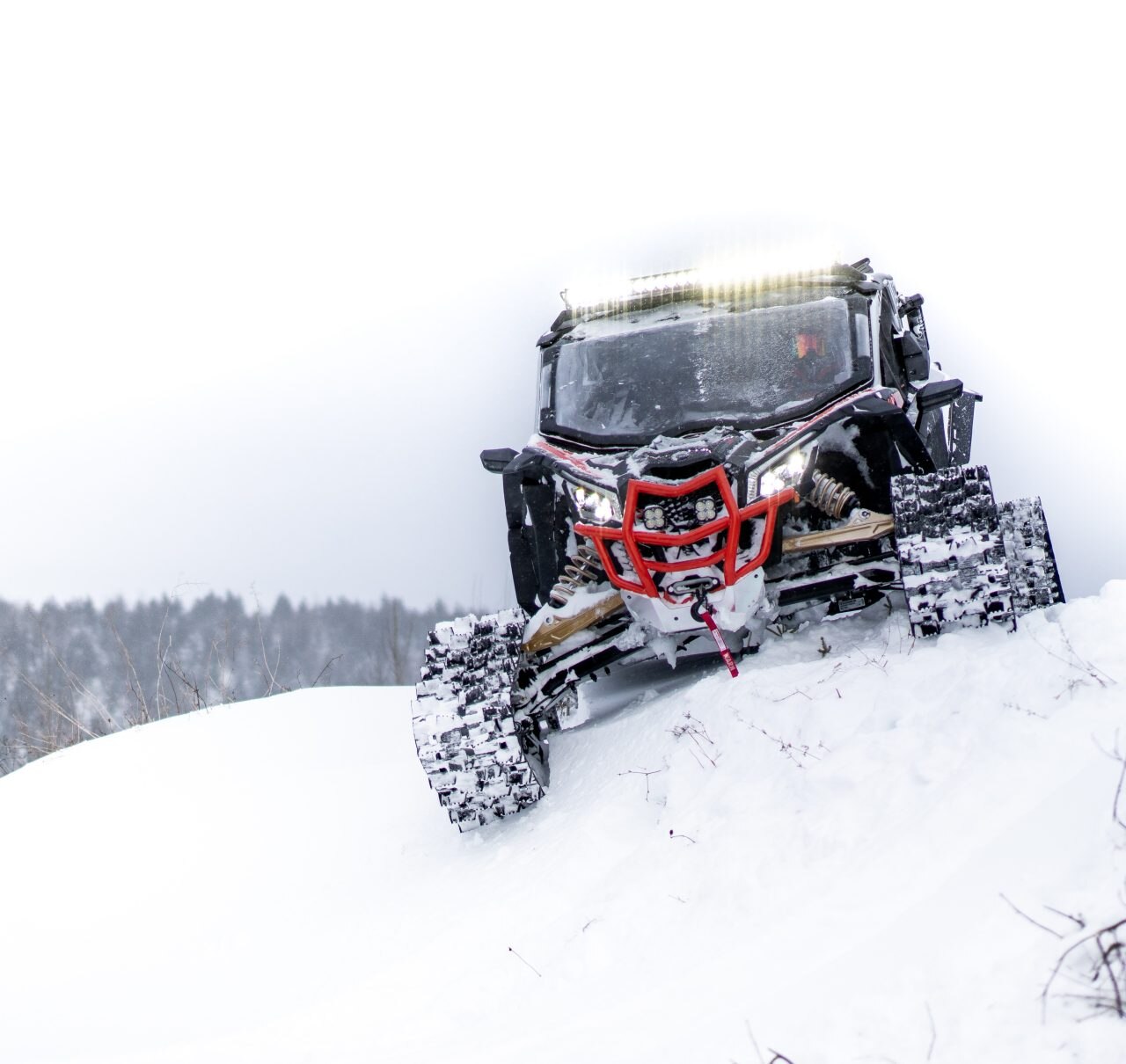 Гусеничні системи Can-Am