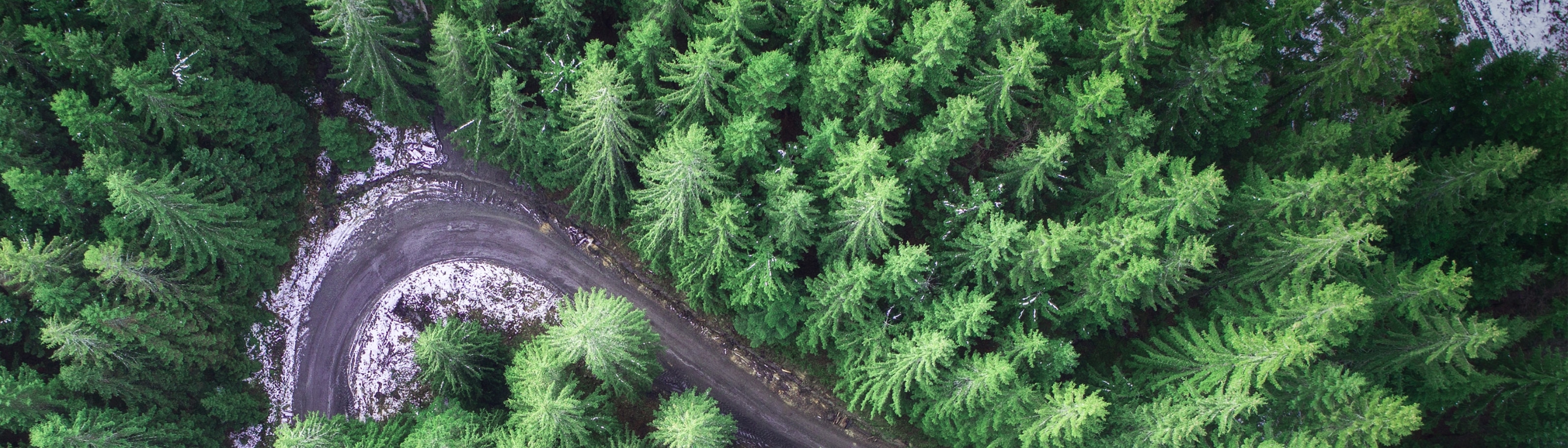 Waldweg aus der Vogelperspektive