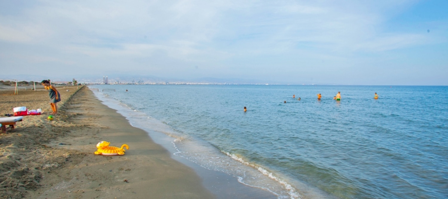 lady's mile beach