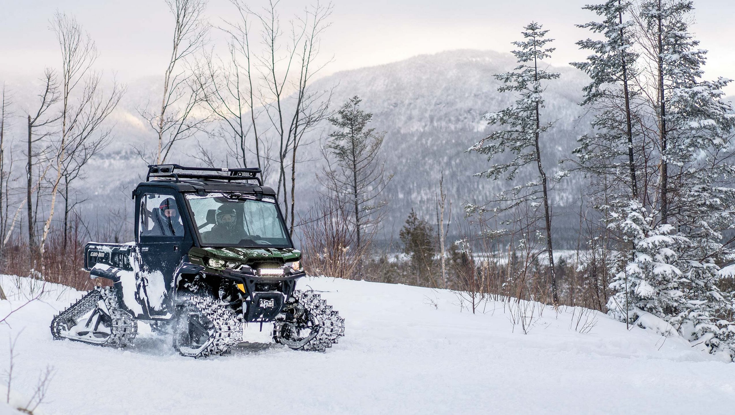 Can-Am, Ski-Doo