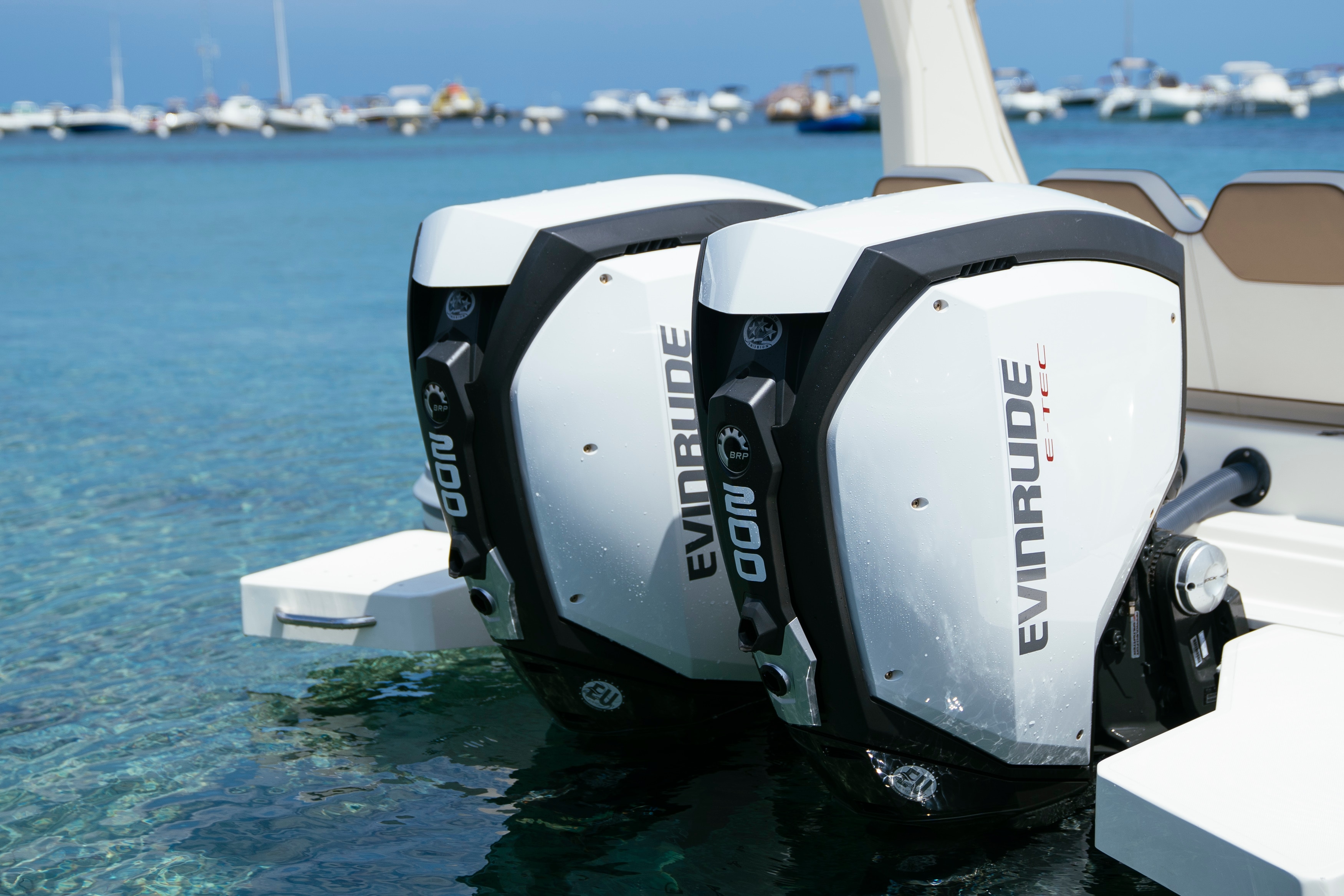 Close-up of a pair of Evinrude boat motors