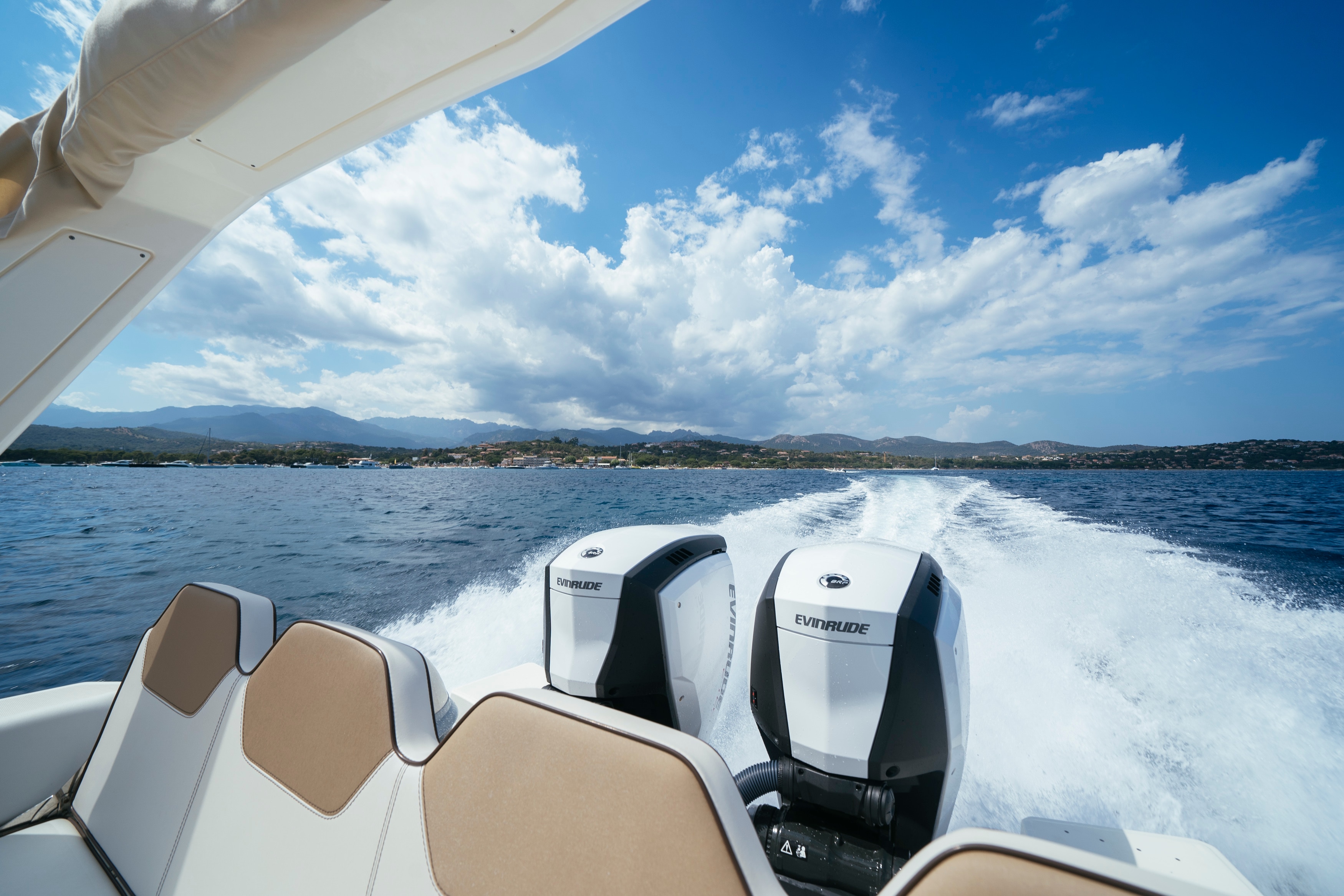 A pair of Evinrude motors in front with a scenic background