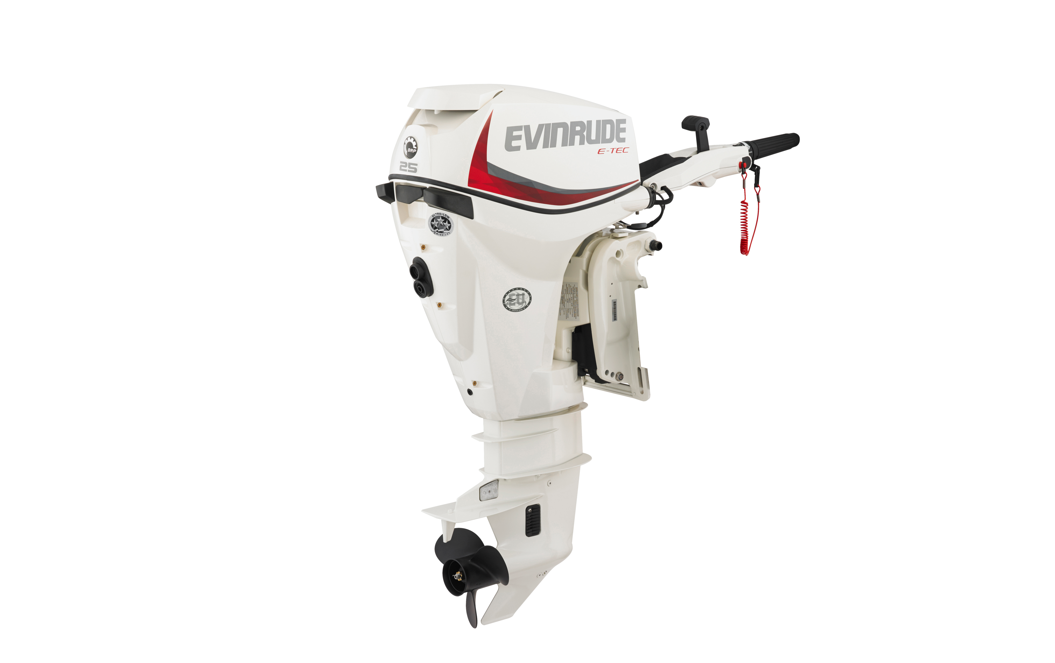 Silnik zaburtowy Evinrude E-TEC 25 KM