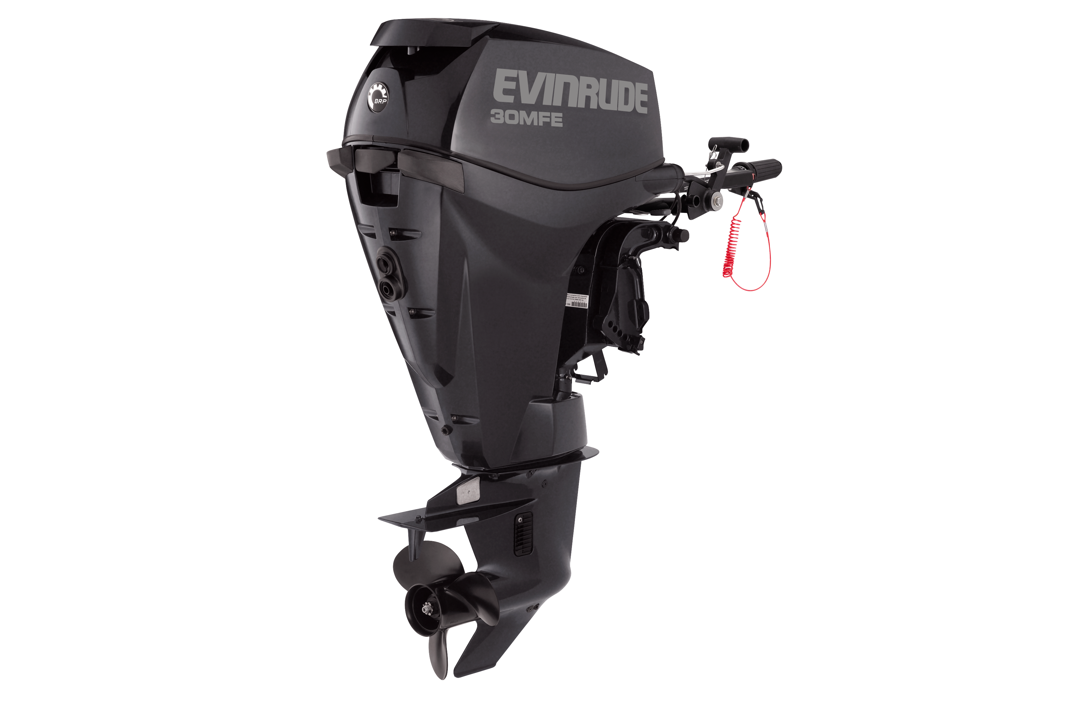 Silnik zaburtowy Evinrude 30 KM