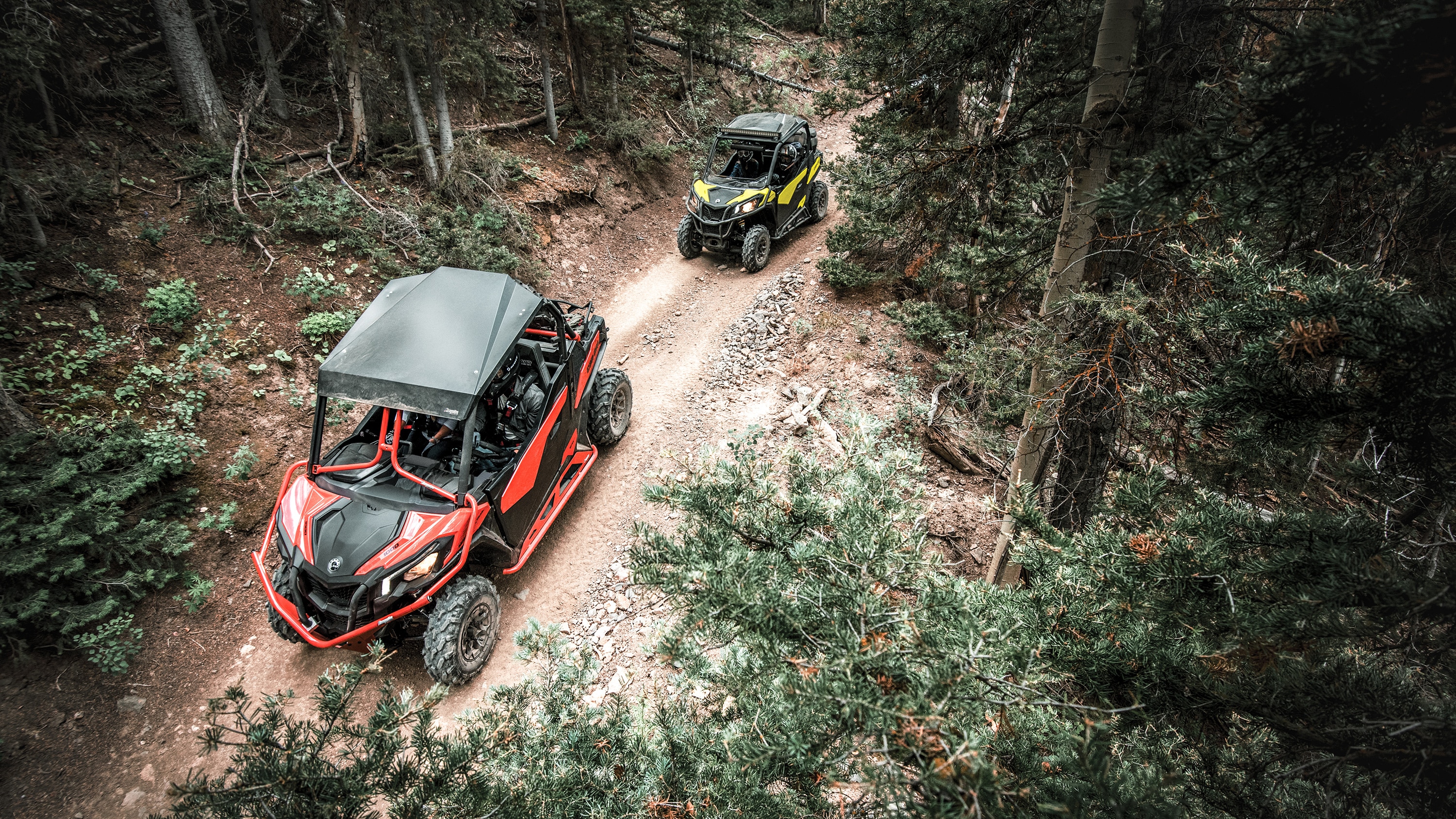 Pair of Maverick Trail moving in a dense forest trail