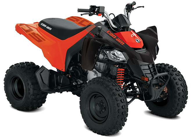 Štirikolesnik ATV Can-Am za otroke Ds 250 Model