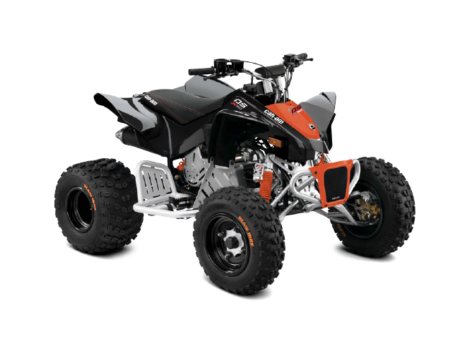 Štirikolesnik ATV Can-Am za otroke Ds 90 X Model