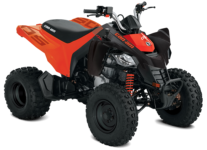 DS 250 Can-Am Youth