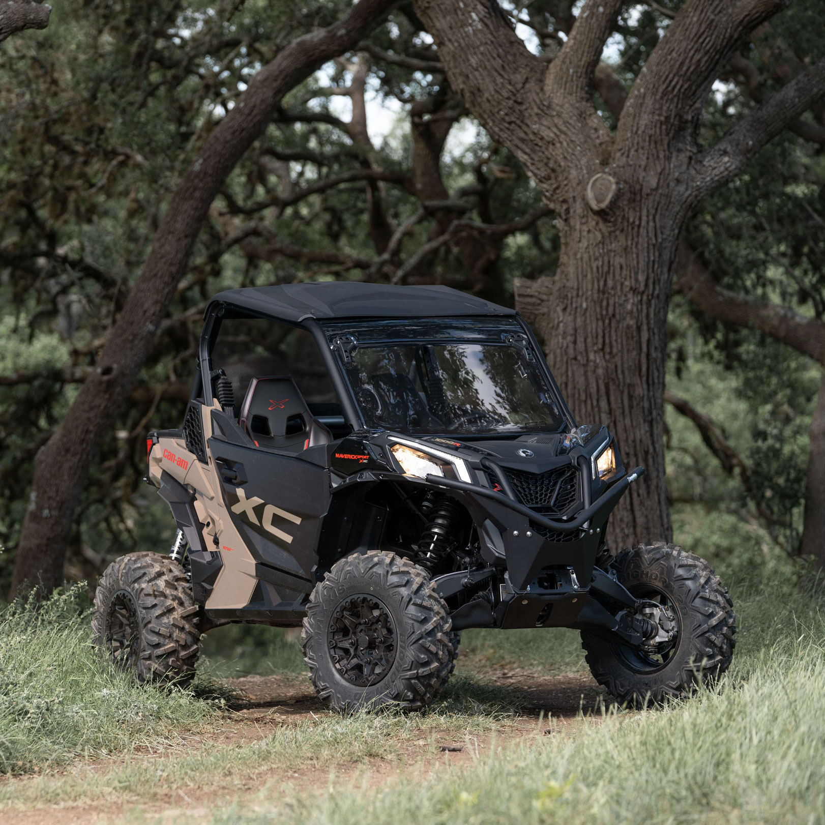 Maverick Sport v lese