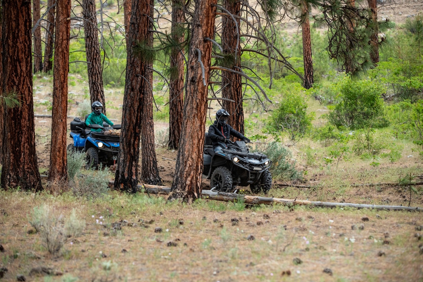 LITRIĆ D.O.O. - ATV ditë safari, udhëtim Can-Am me katër rrota nëpër pyll, tregtar skish dhe deti