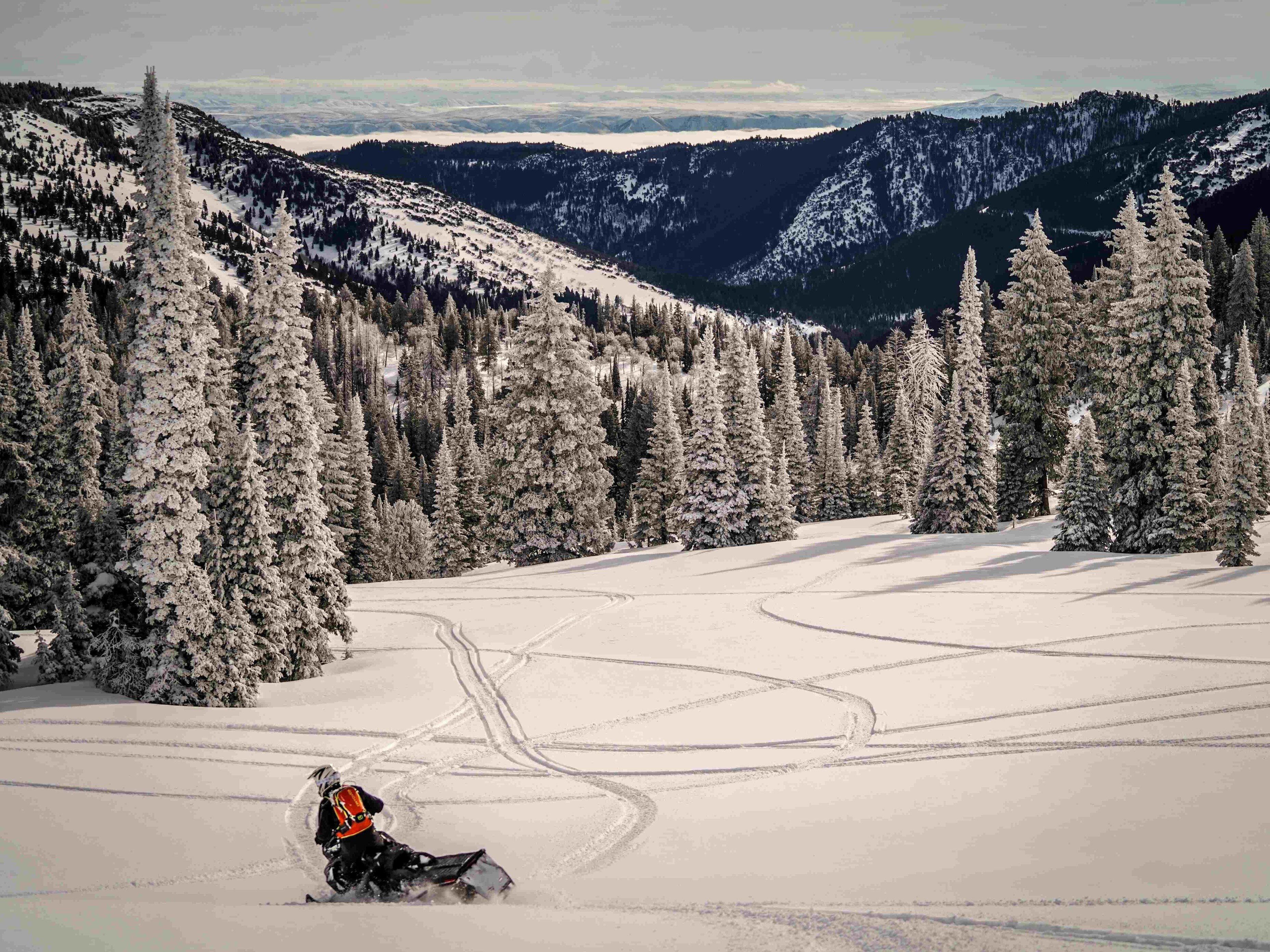 Ski&Doo Powder Days Ski&Sea