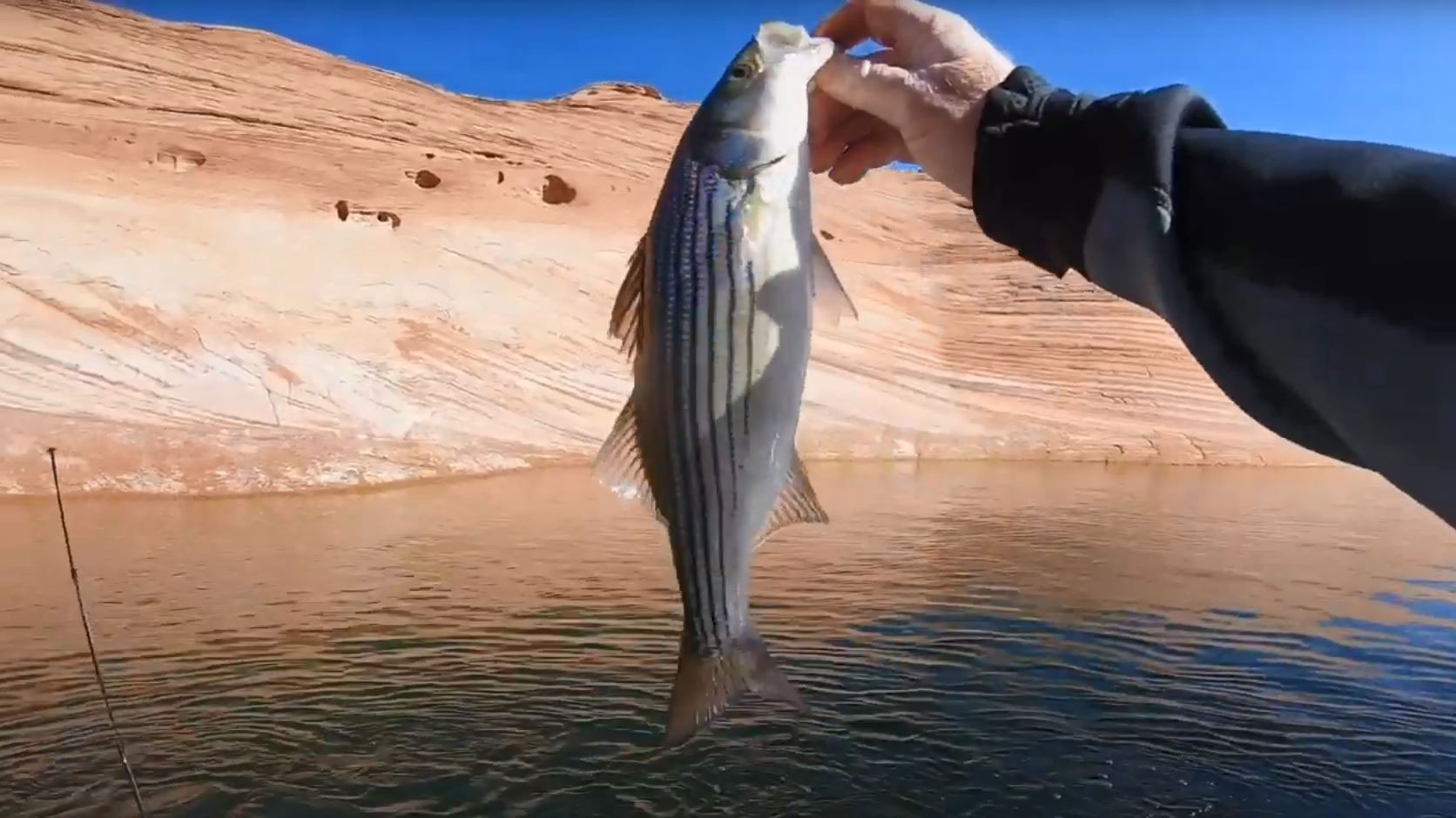 muž drží ulovenú rybu na Lake Powell