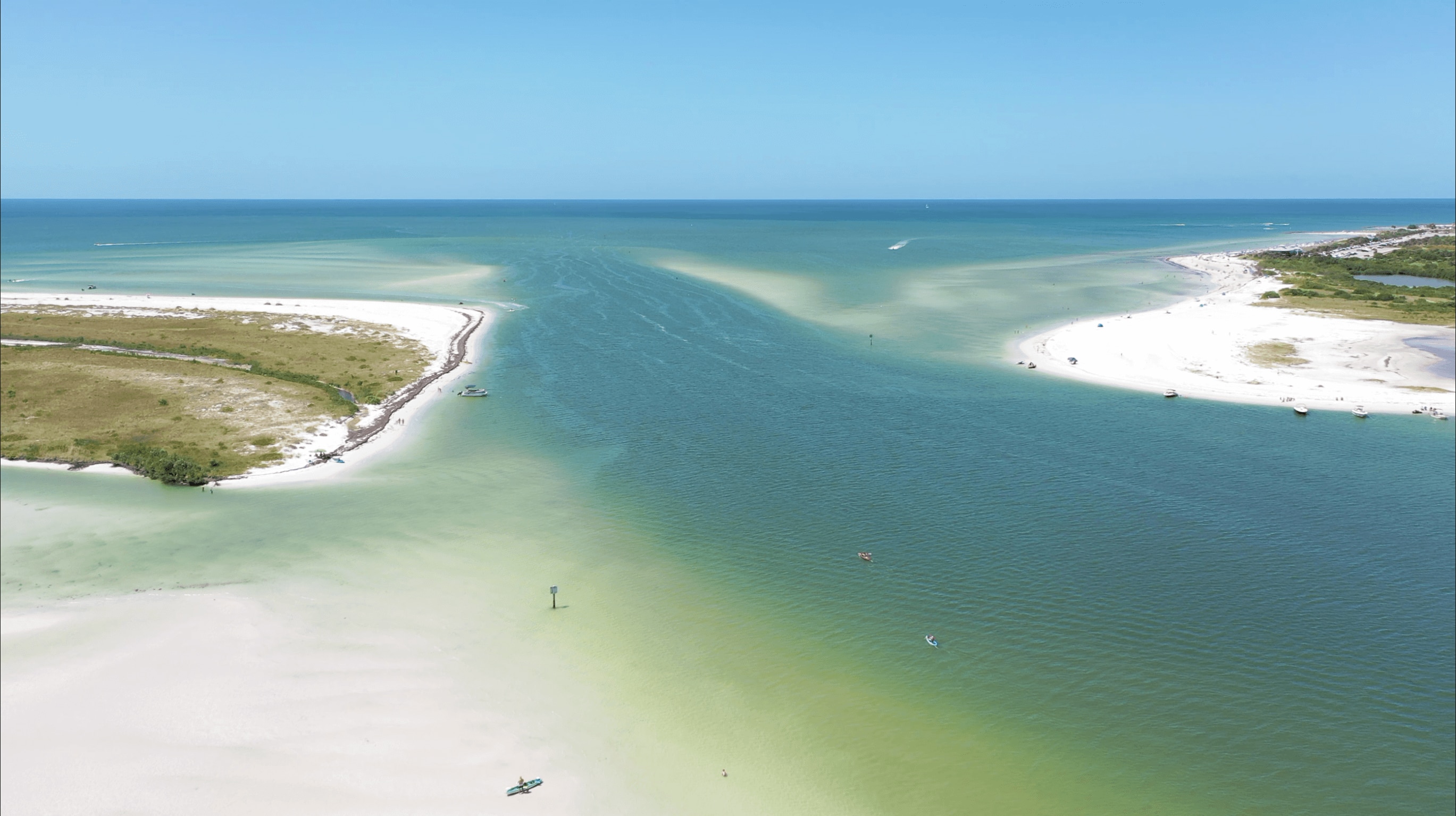 Bird View of the ocean