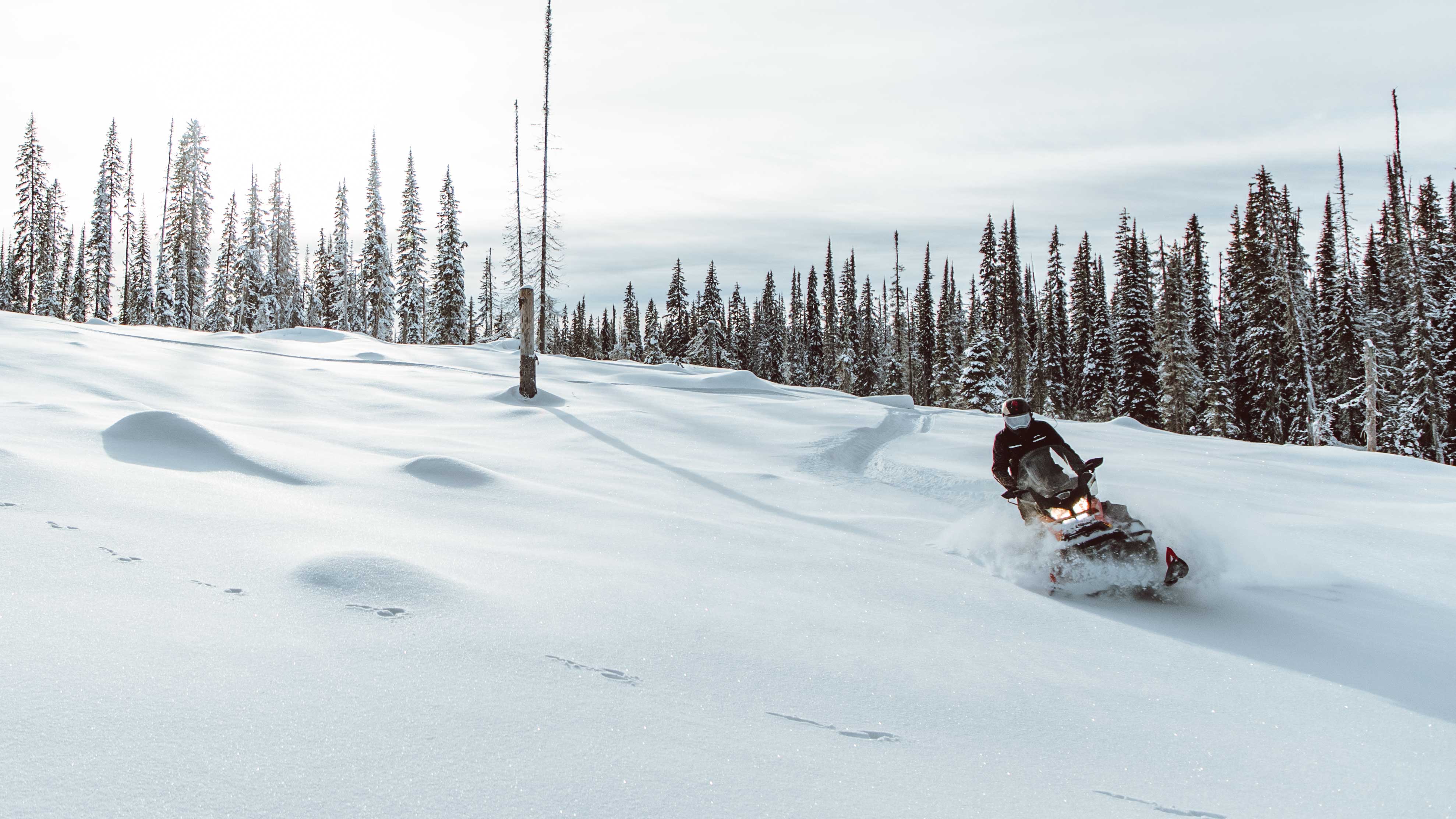 Moški uživa v globokem snegu s Ski-Doo Skandic