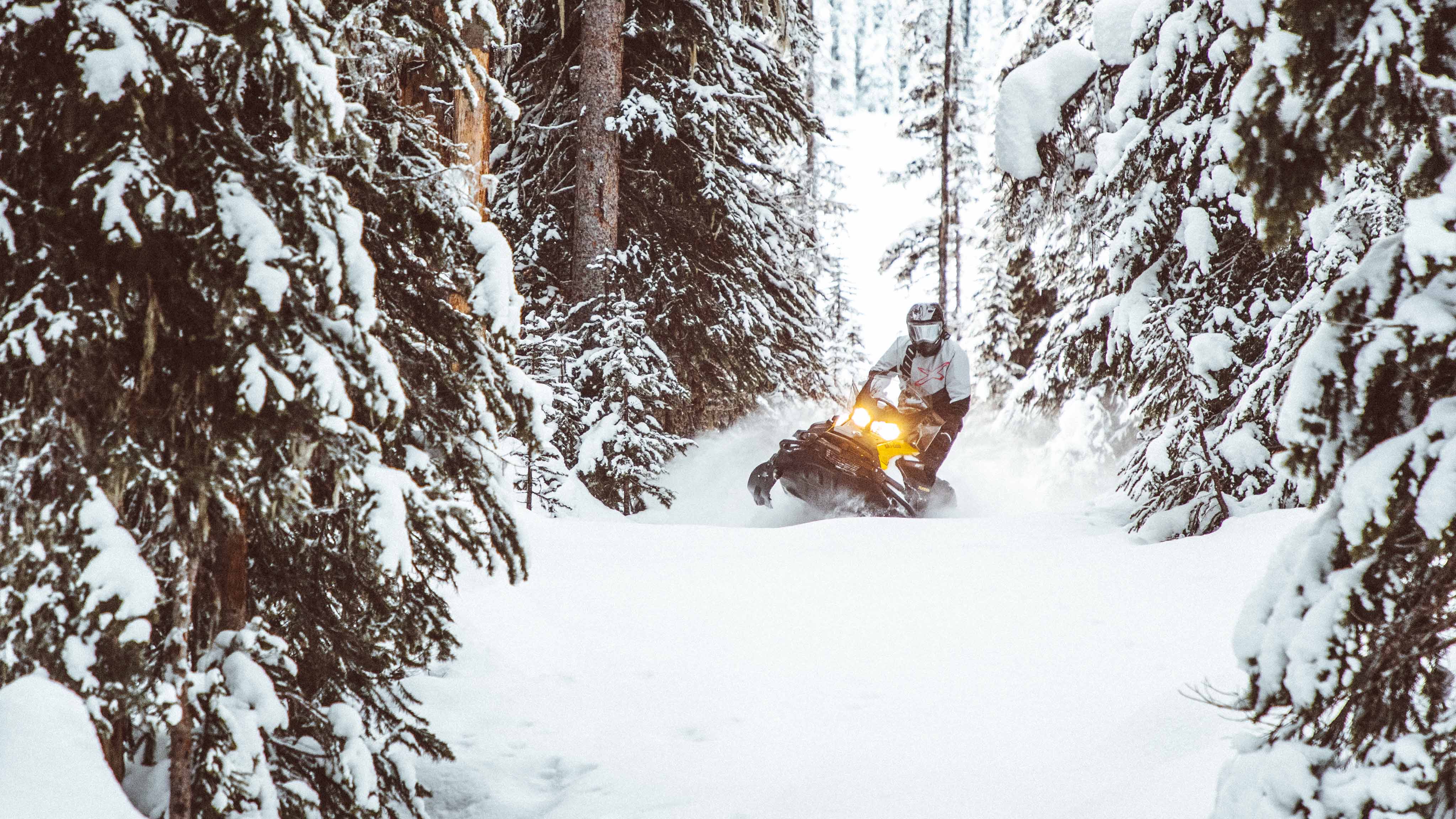 Moški vozi Ski-Doo Tundra v gozdu
