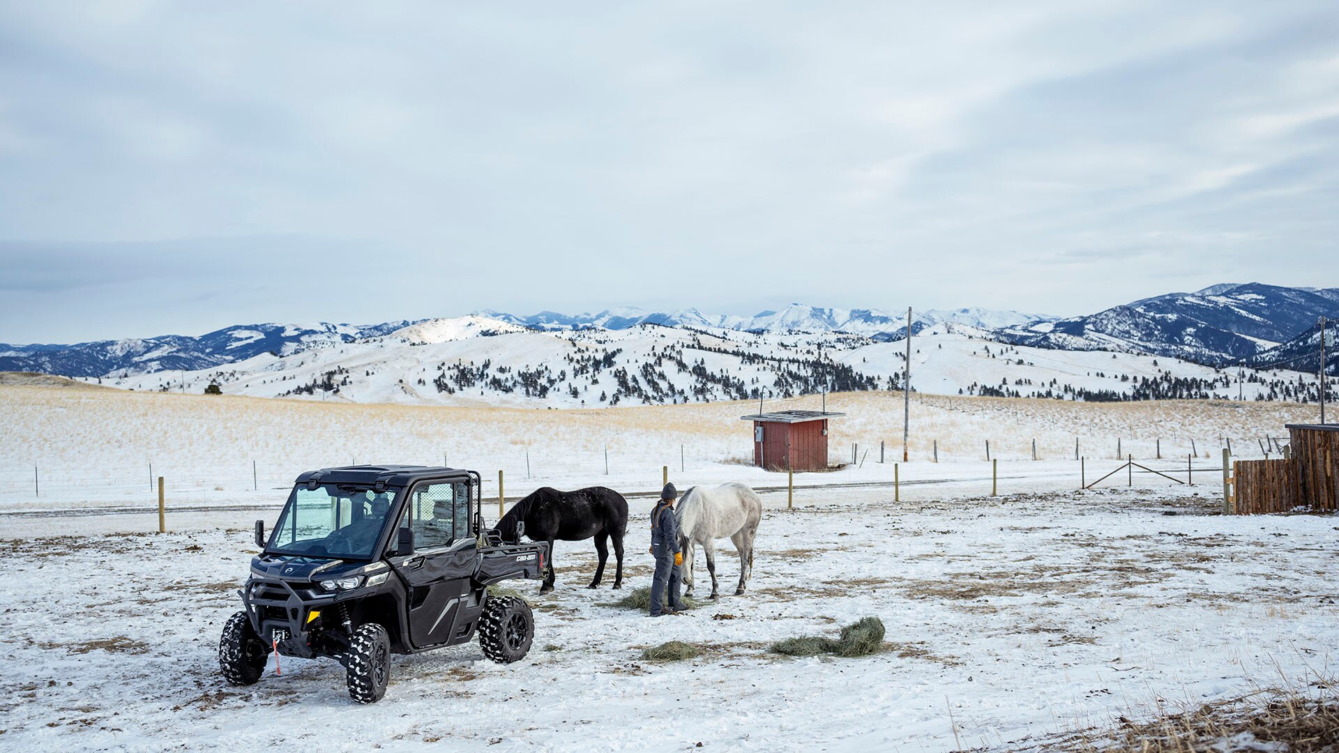 SNOW dan Koaonik - Ski&Sea Beograd 2026