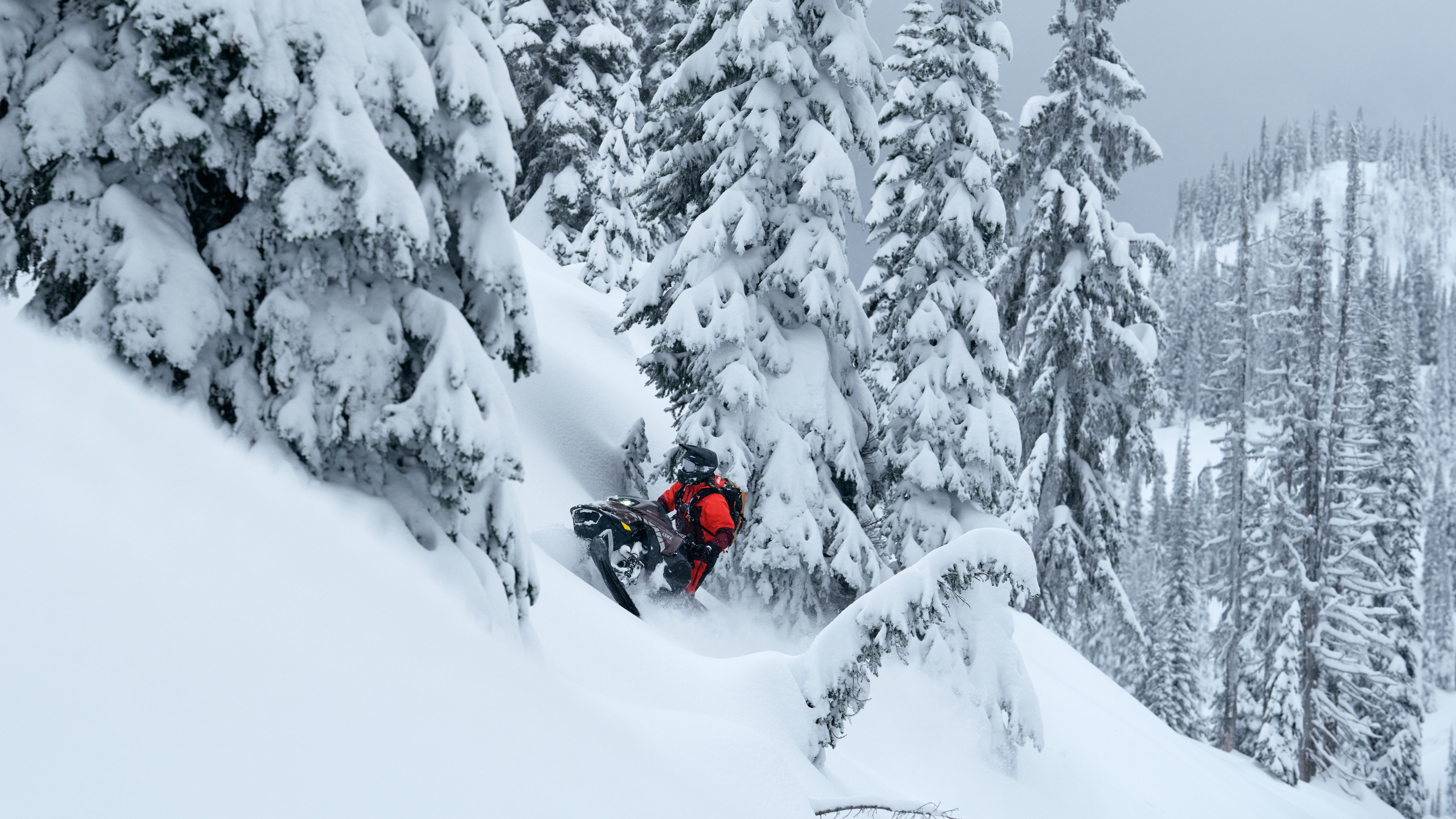 Lynx Shredder DS 2025 snowmobile wheelying in deep snow in forest
