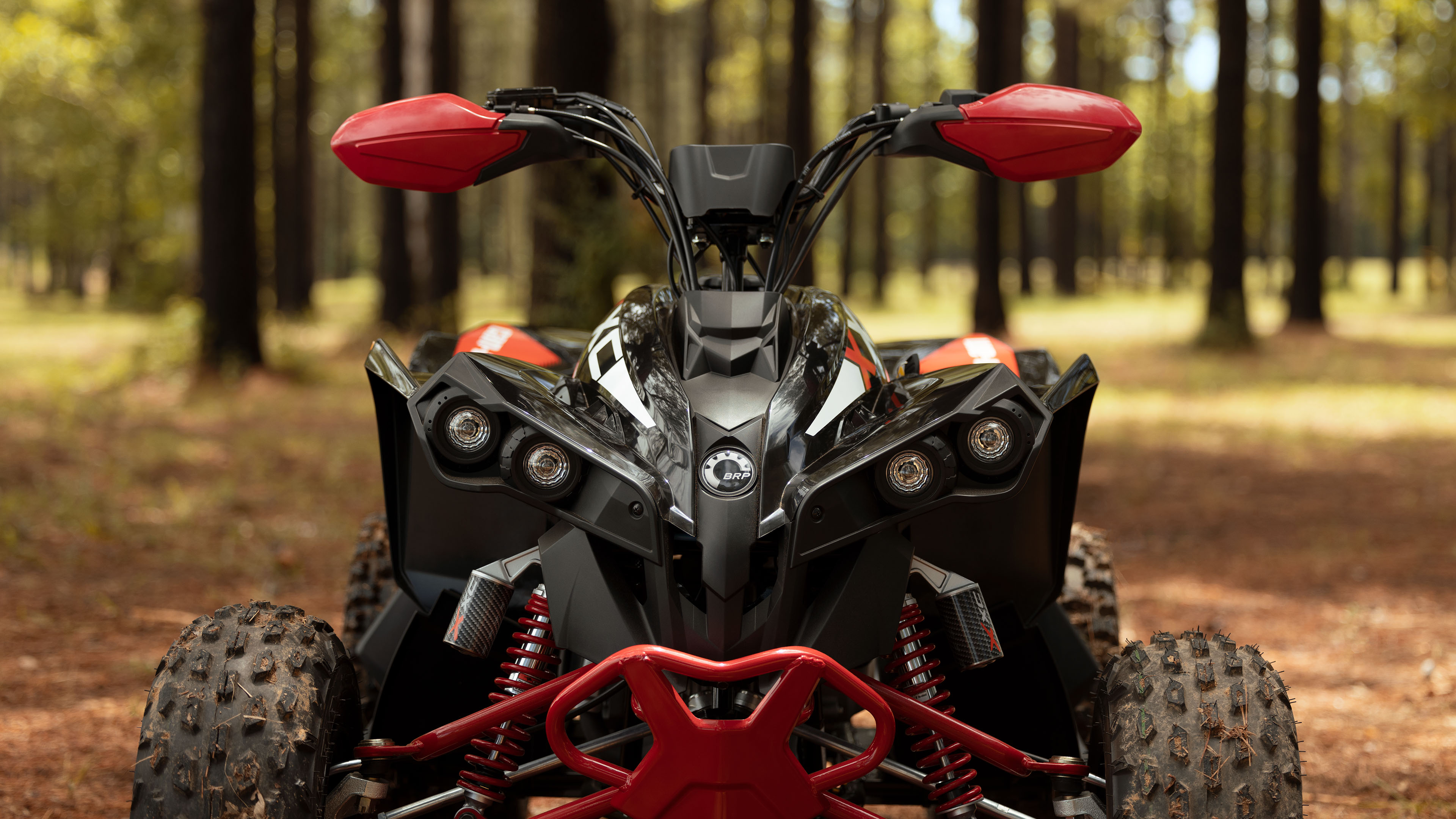 Head-on Can-Am Renegade 110 X xc Y10