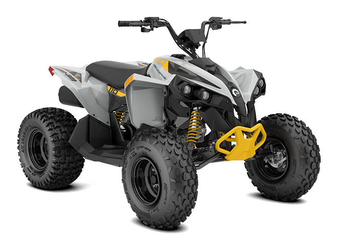 Can-Am Renegade 110 EFI