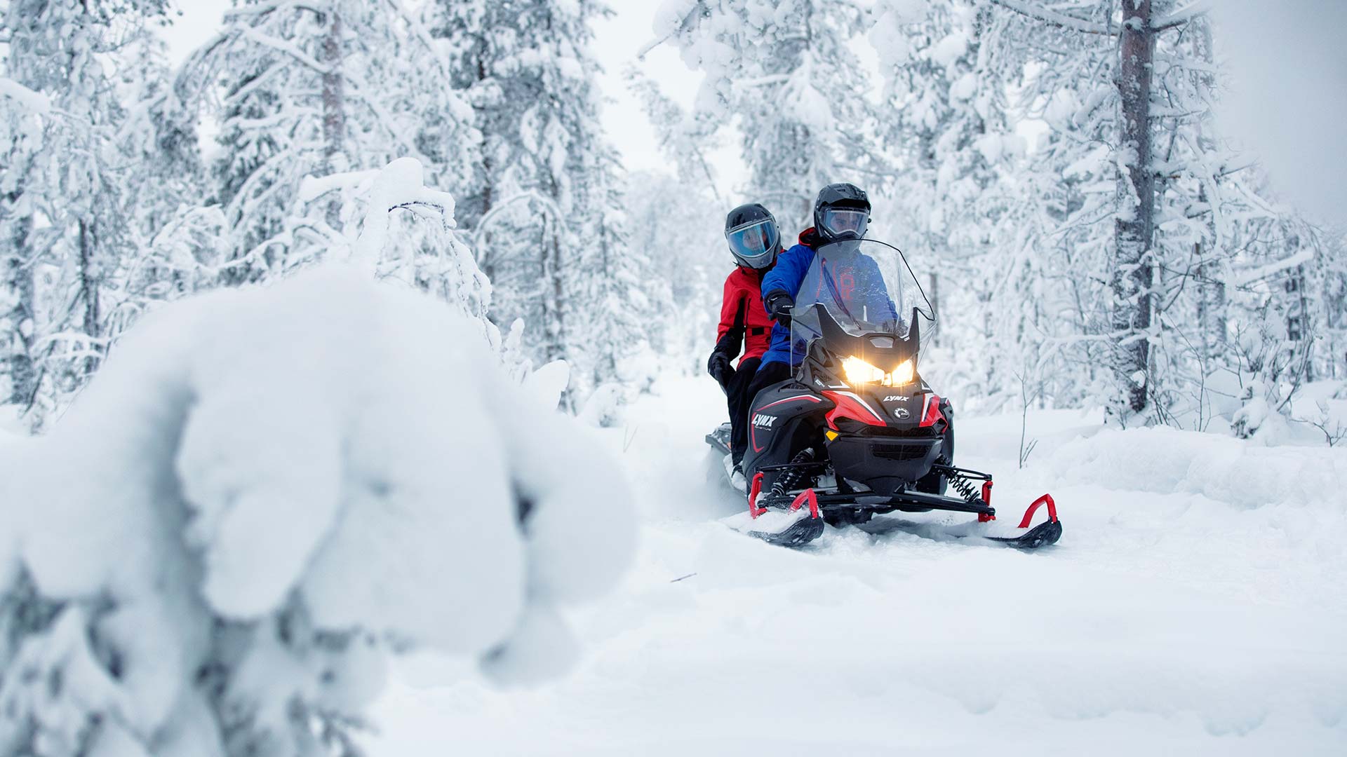 Авантуристичко возење на Lynx Adventure моторната санка во длабочините на шумските снежни предели.