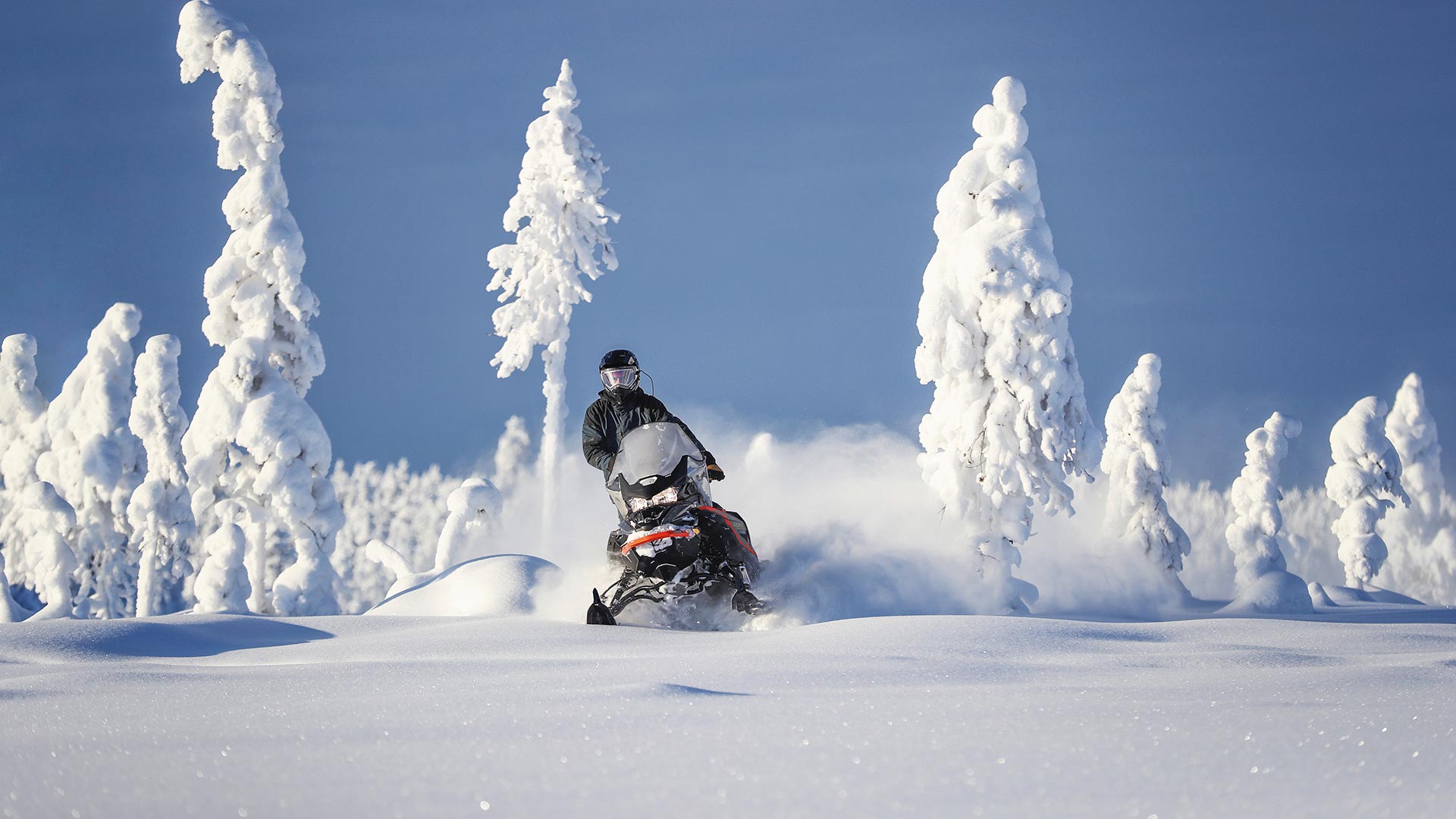 Lynx Commander snowmobile riding in snowy forest