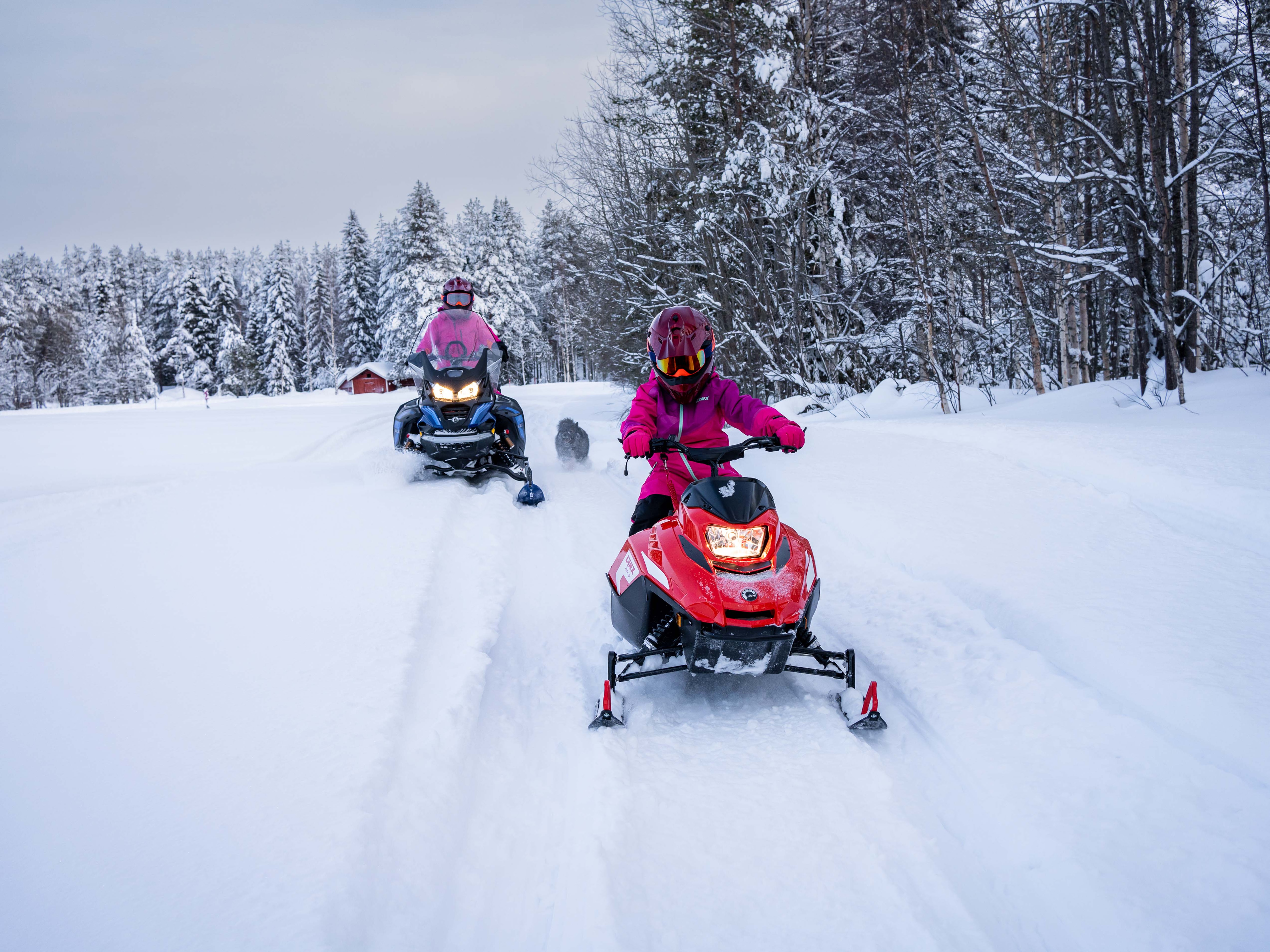 Lynx Snowmobiles riding in privat area.