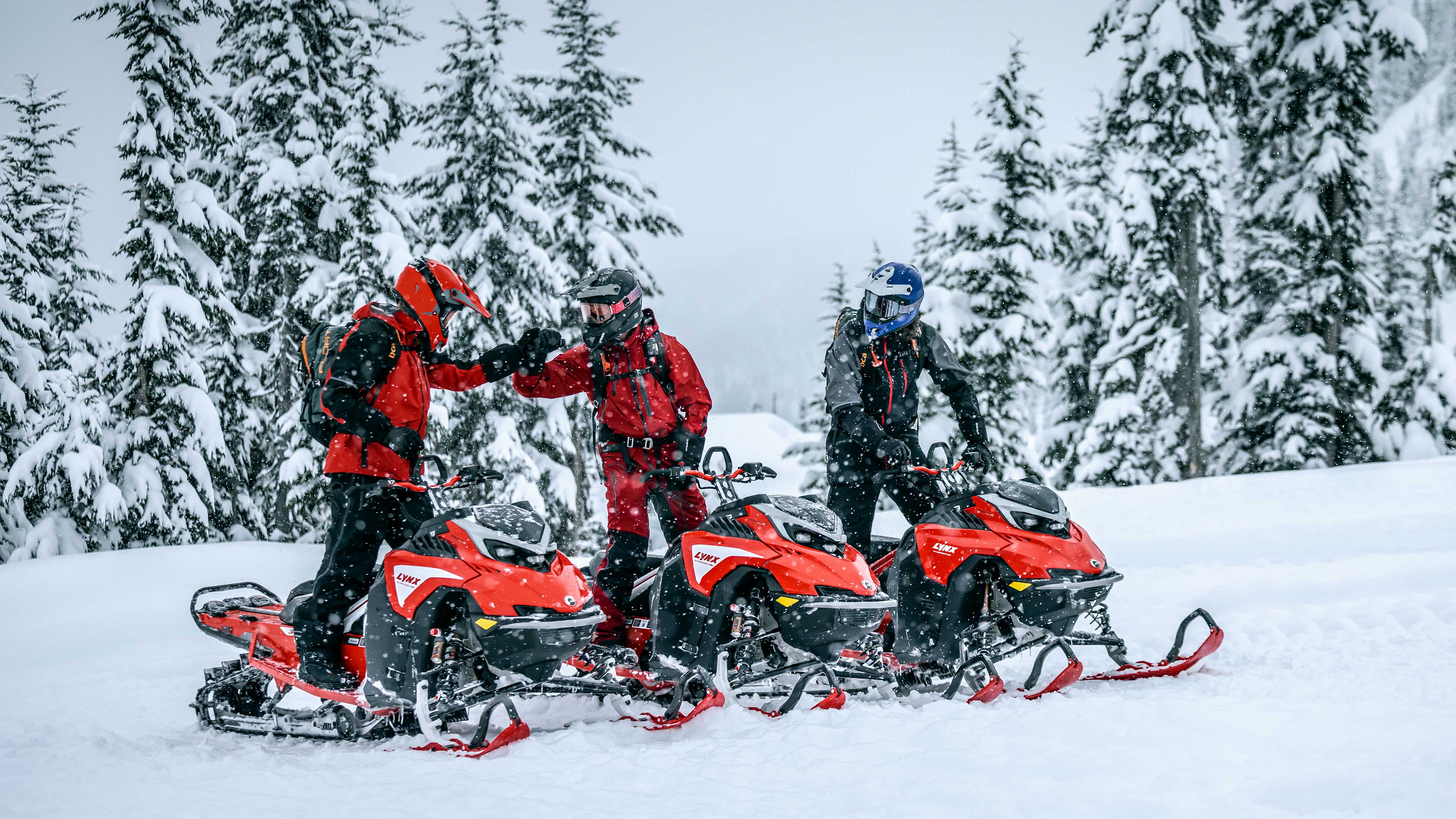 Lynx Motorne Sanjke Snowmobile BRP