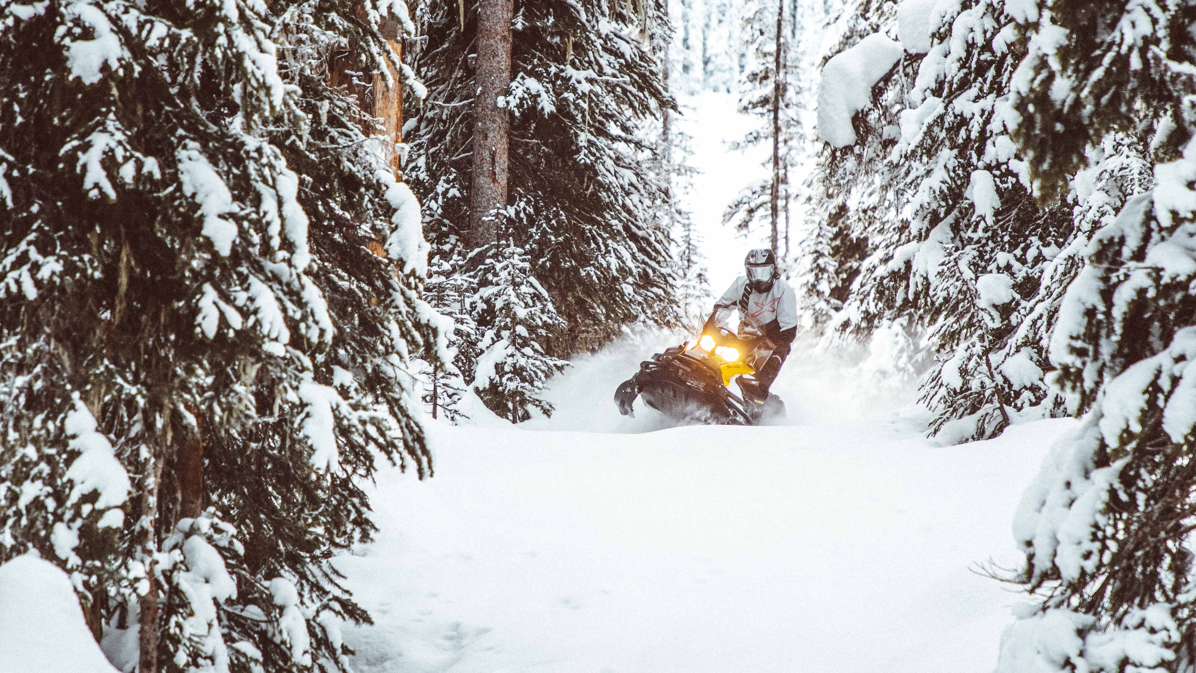 Дечко кој ја вози својата Ski-Doo Tundra моторна санка низ шумски предели