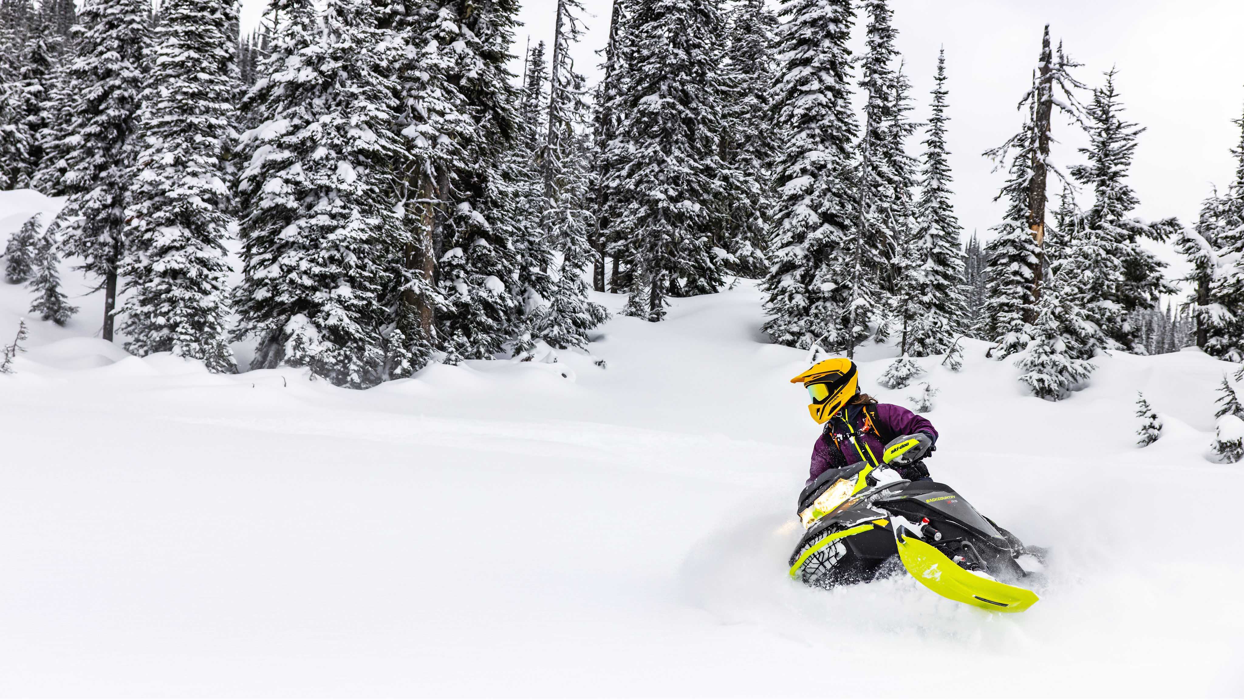 Ski&Sea Ski-Doo Моторни санки BACKCOUNTRY 2023 BRP