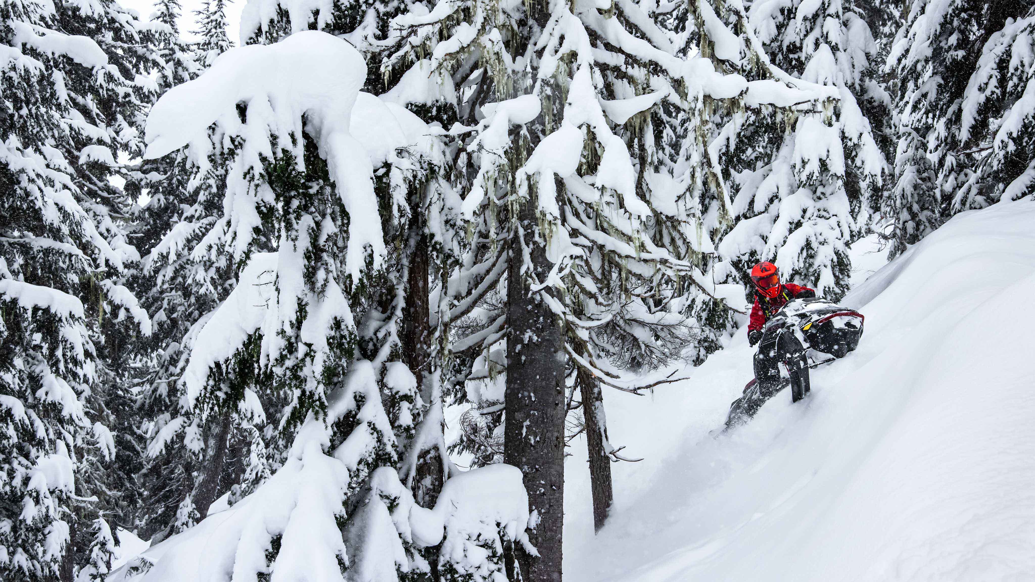 Ski-Doo Freeride model 2023 ženúci sa dolu z hory