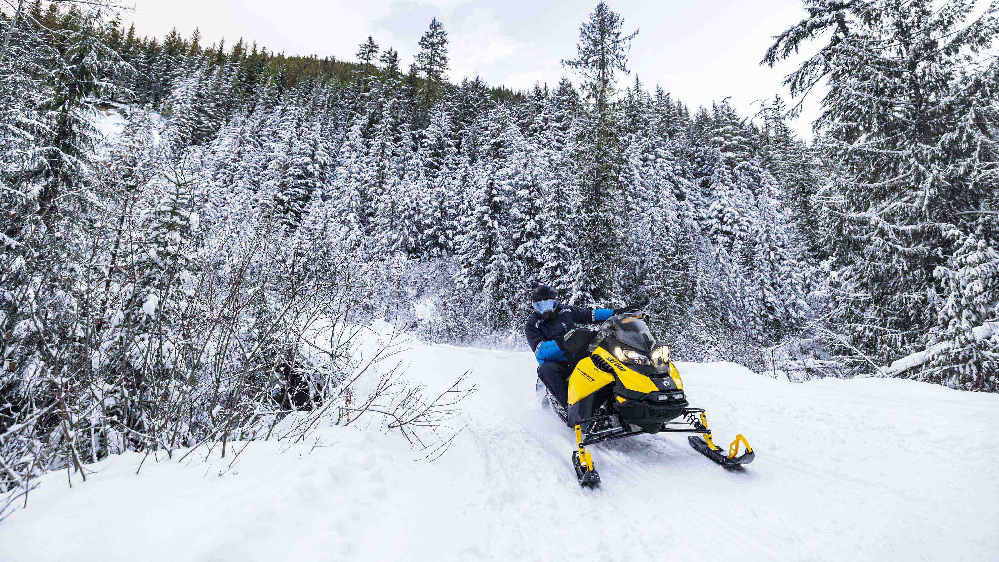 SKI&SEA Ski-Doo motorne sani