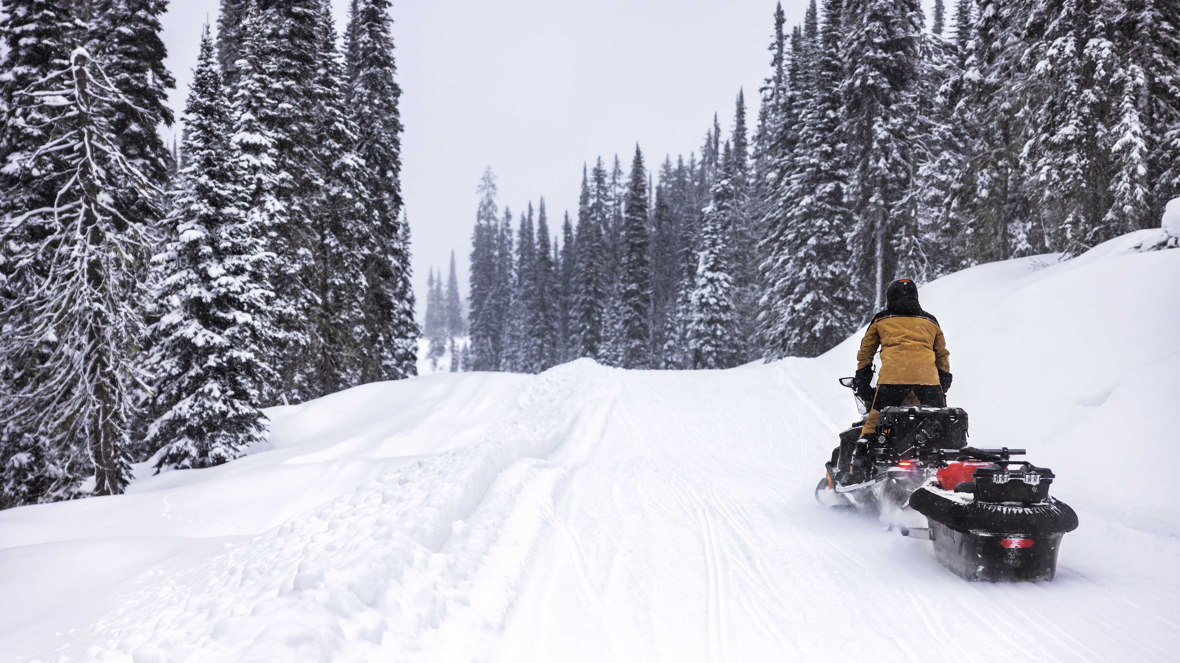 Man driving his 2023 Ski-Doo Skandic on a snowmobile trail