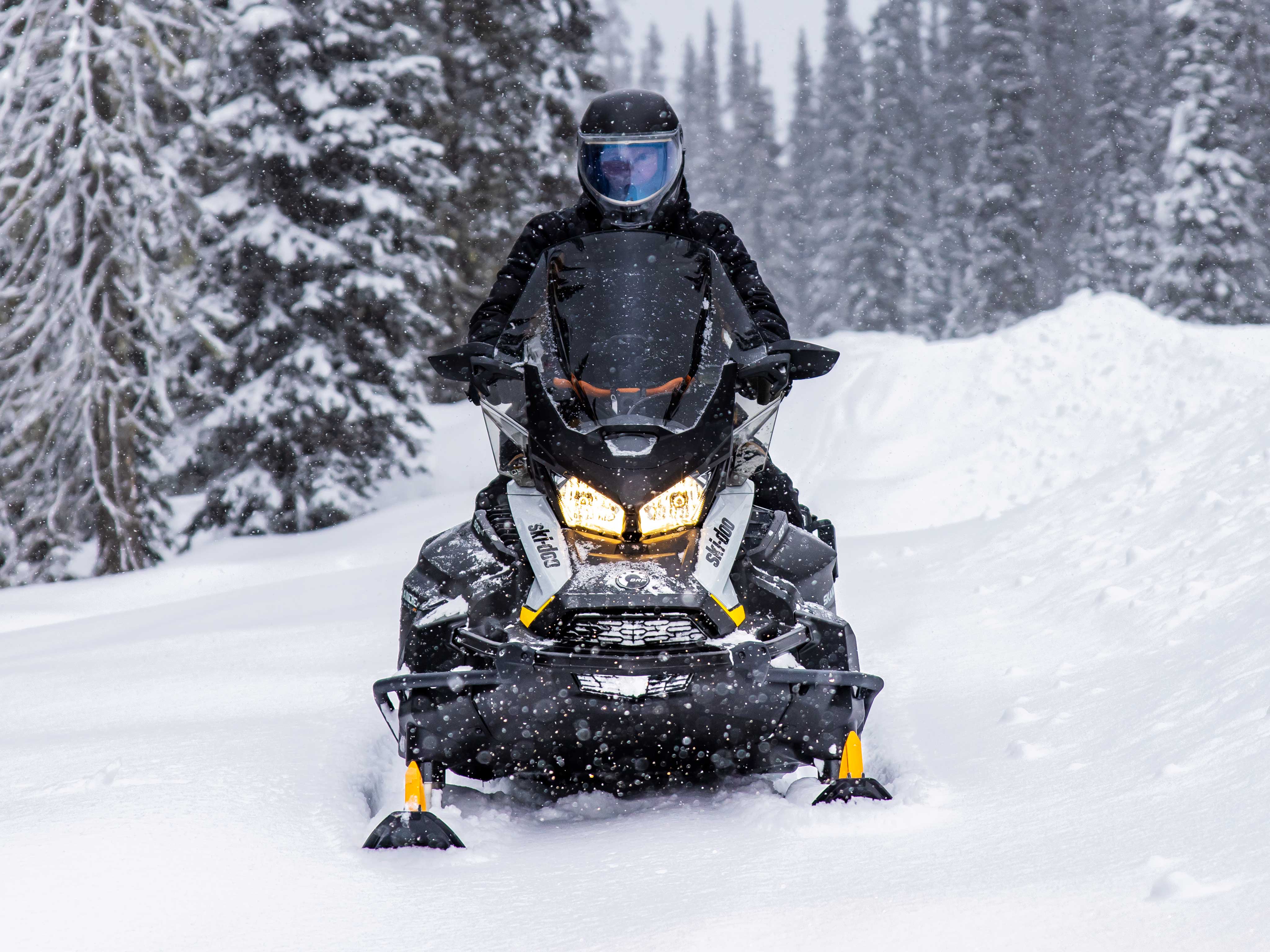 Ski doo skandic 900 ace